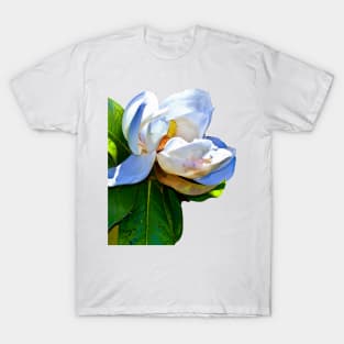 Magnolia T-Shirt